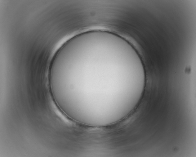 X0000113620902200909181113