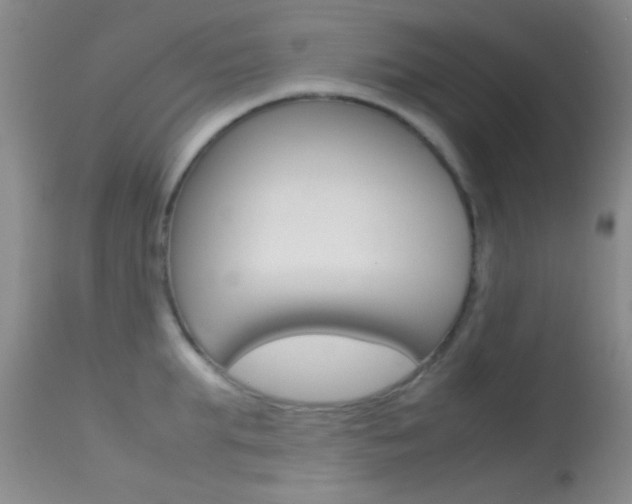 X0000113620903200909181113