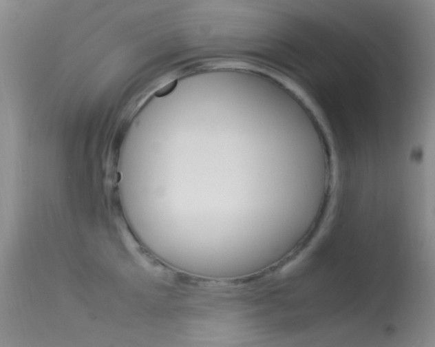 X0000113620905200909181113