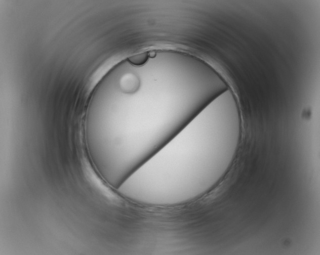 X0000113620906200909181113