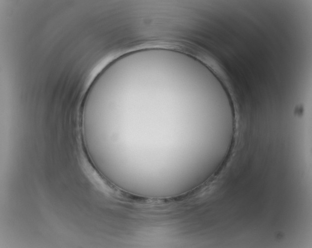 X0000113620907200909181113