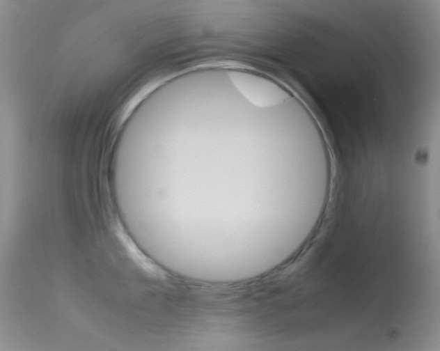 X0000113620909200909181113