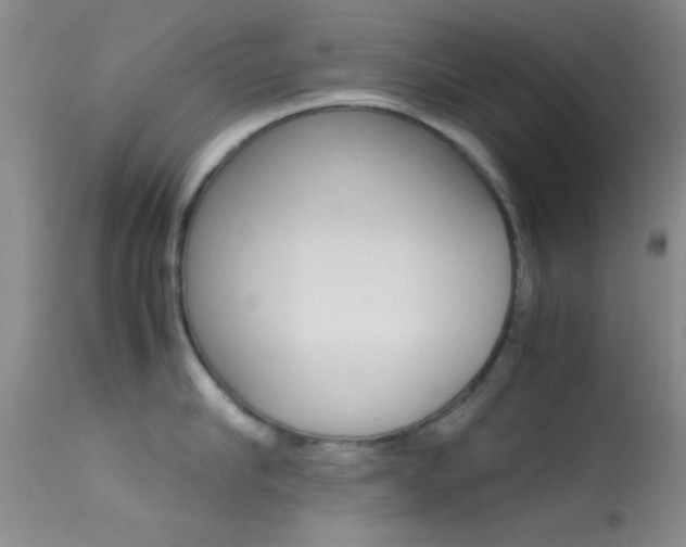 X0000113620910200909181113