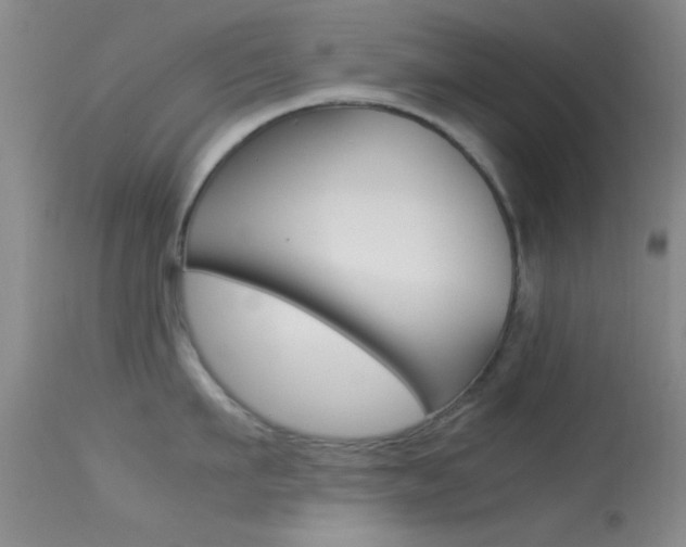 X0000113620911200909181113