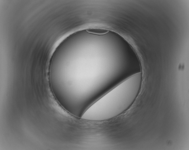 X0000113620912200909181113