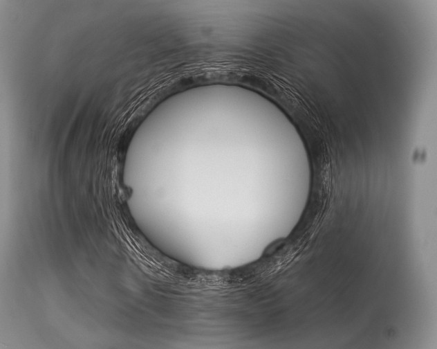 X0000113620914200909181112