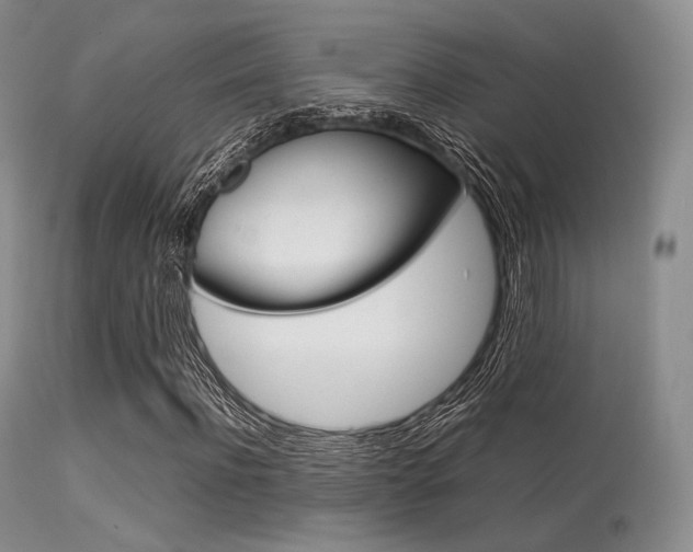 X0000113620916200909181112