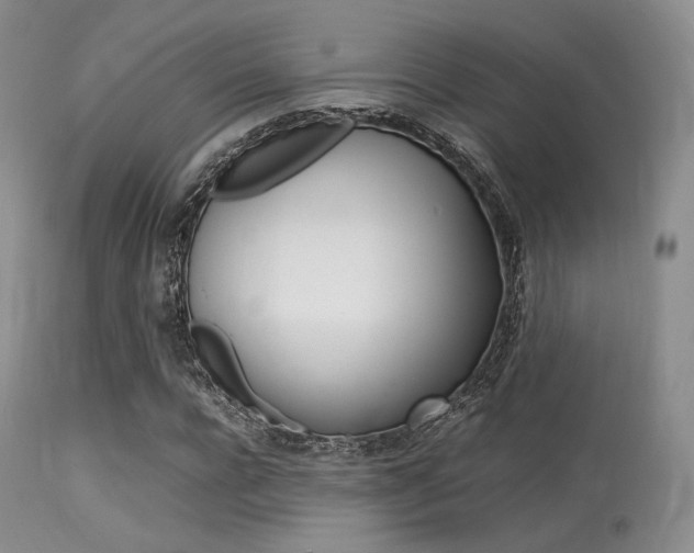 X0000113620920200909181112