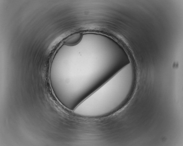 X0000113620922200909181112