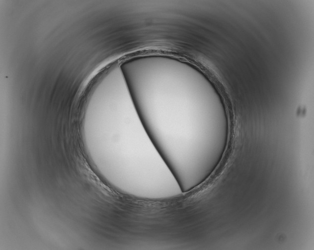 X0000113620923200909181112