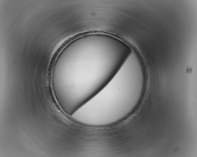 X0000113620924200909181112