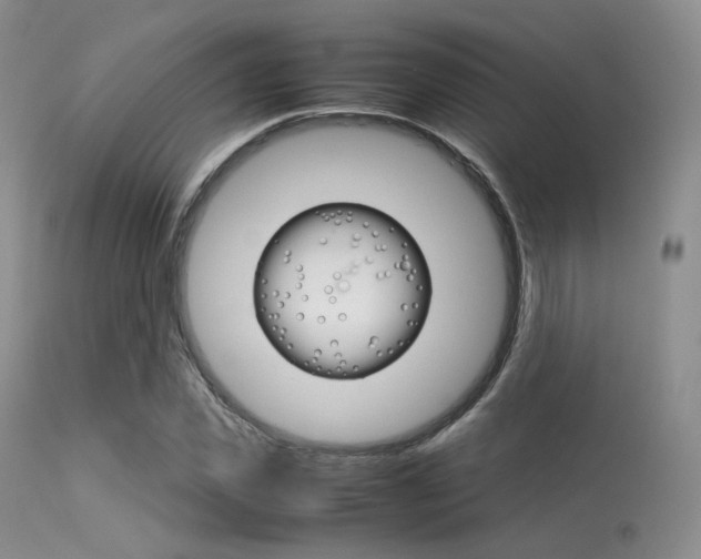 X0000113620925200909181112