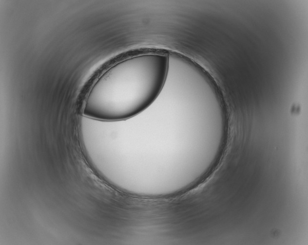 X0000113620926200909181112