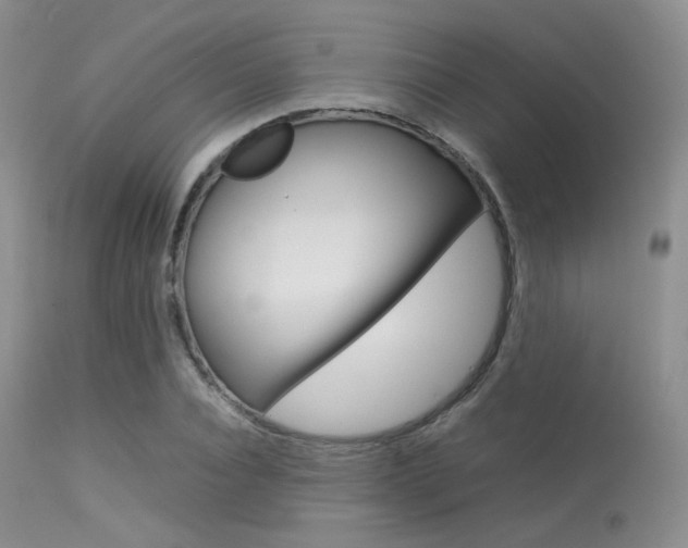 X0000113620928200909181112