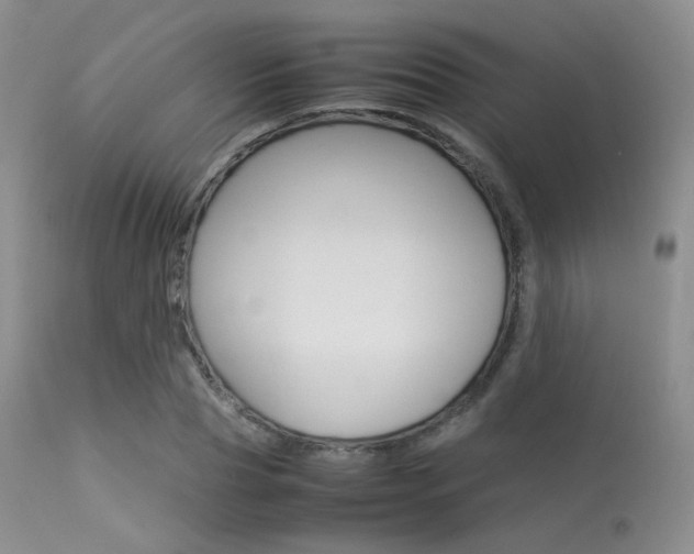 X0000113620929200909181112