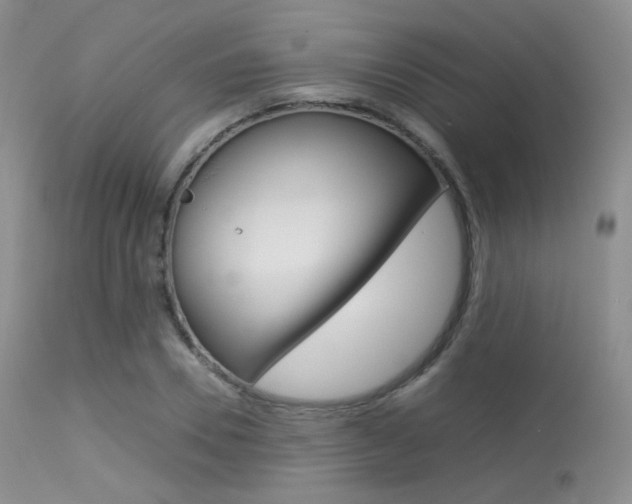 X0000113620930200909181112