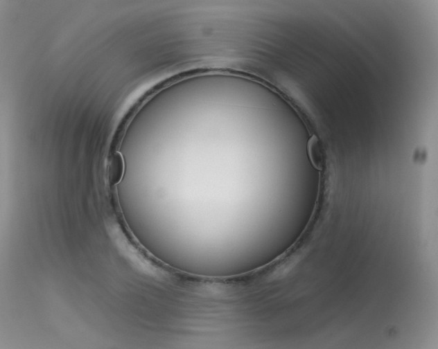 X0000113620932200909181112