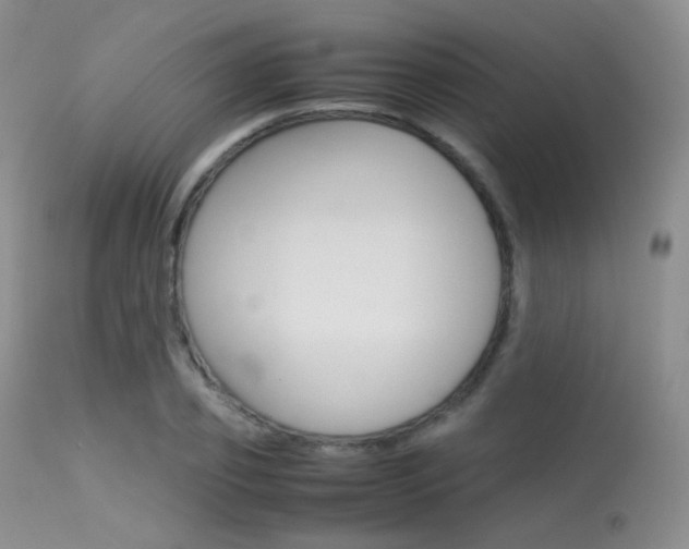 X0000113620933200909181112