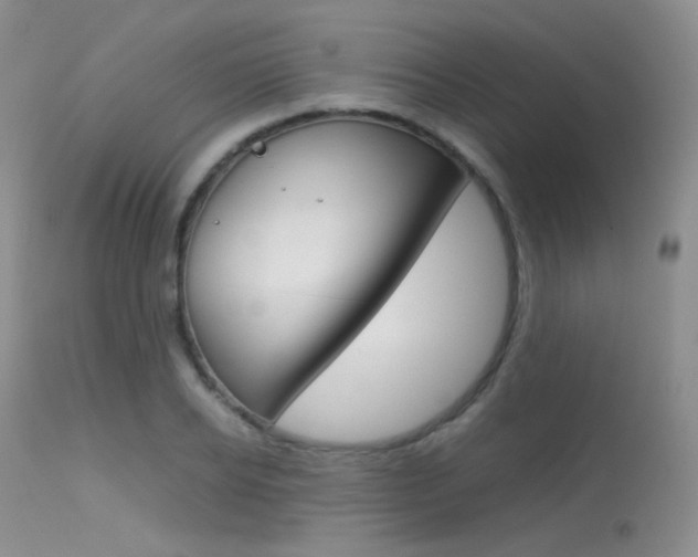 X0000113620934200909181112