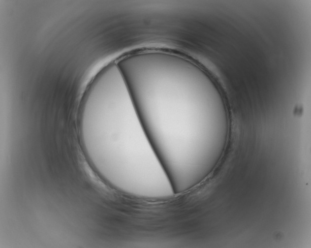 X0000113620935200909181112