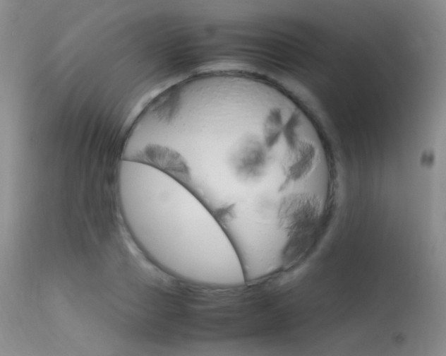 X0000113620937200909181112