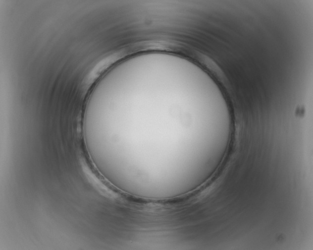 X0000113620938200909181112