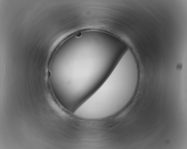 X0000113620940200909181112