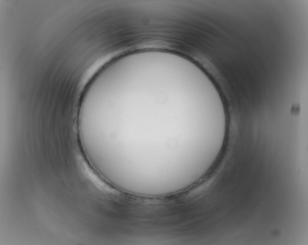 X0000113620941200909181112