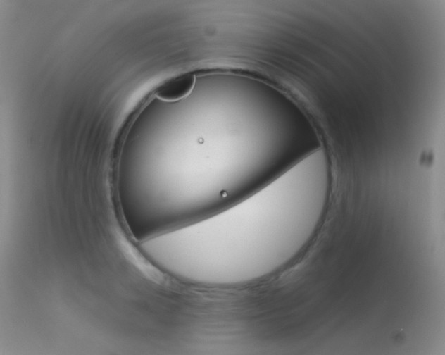 X0000113620942200909181112