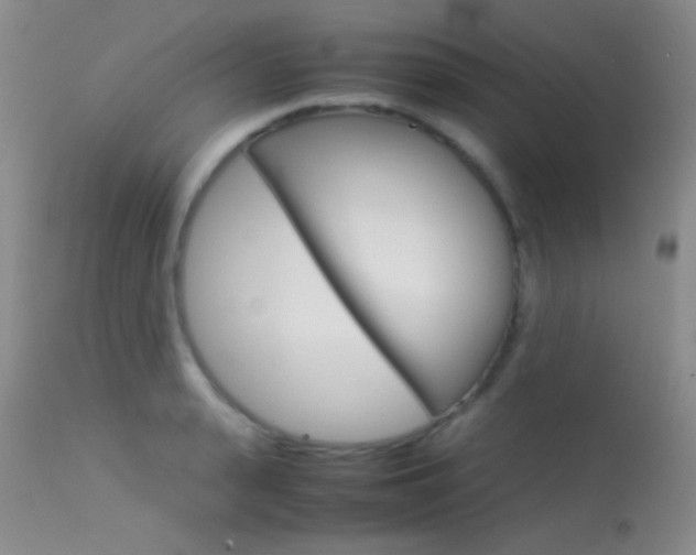 X0000113620943200909181112