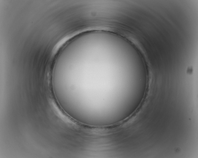 X0000113620944200909181112