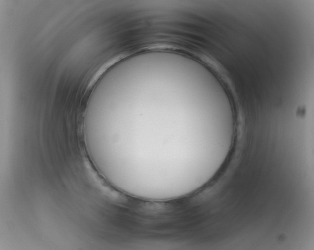 X0000113620945200909181112