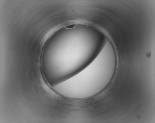 X0000113620946200909181112