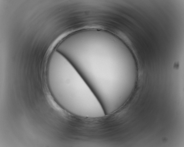 X0000113620947200909181112