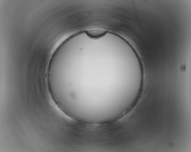 X0000113620949200909181113