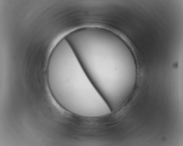 X0000113620951200909181113