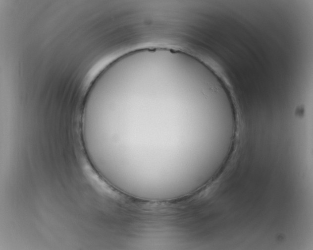 X0000113620952200909181113