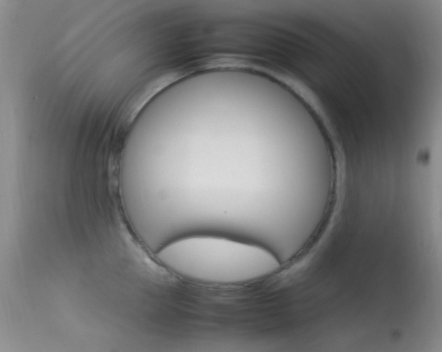 X0000113620953200909181113