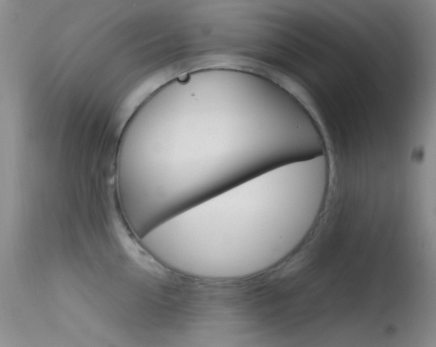 X0000113620954200909181113