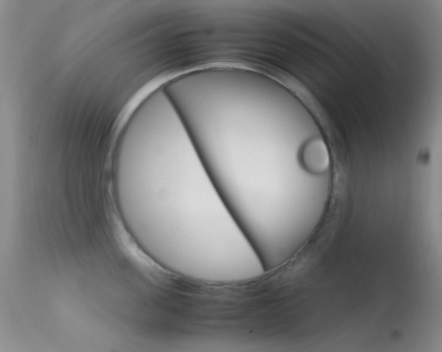 X0000113620955200909181113