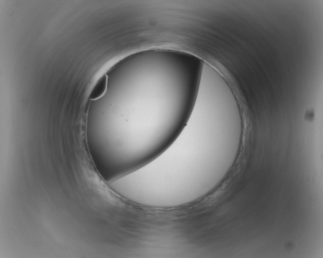 X0000113620956200909181113