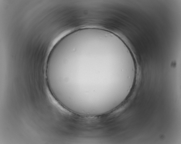 X0000113620957200909181113