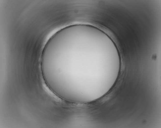 X0000113620958200909181113