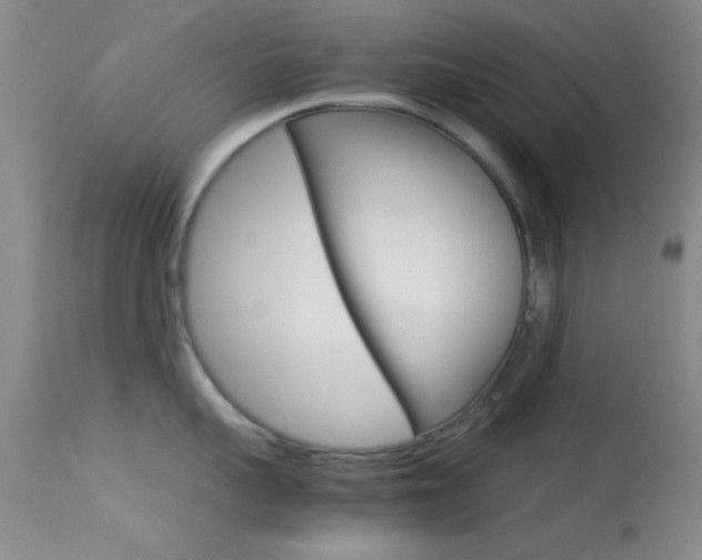 X0000113620959200909181113