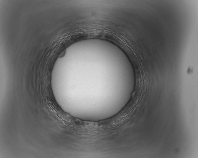 X0000113620961200909181112