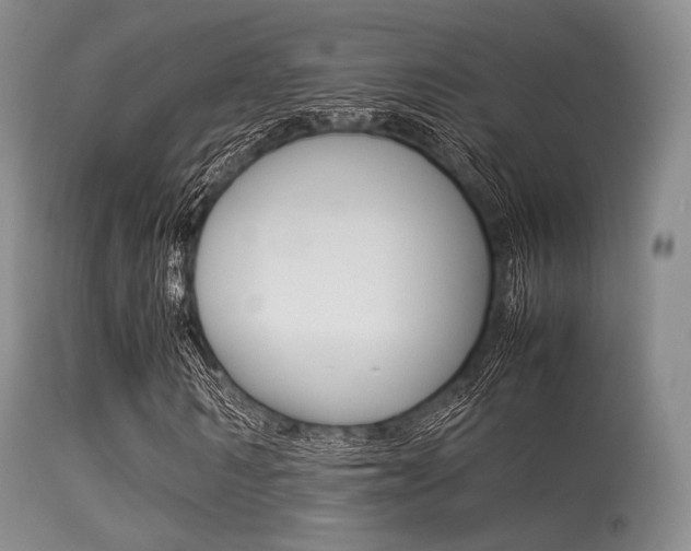 X0000113620962200909181112