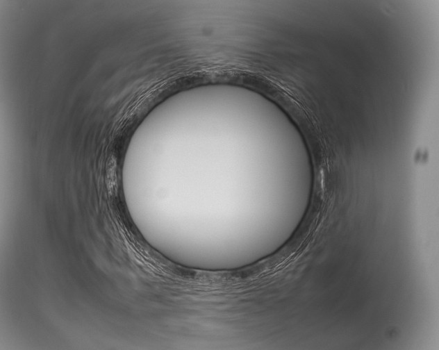 X0000113620963200909181112