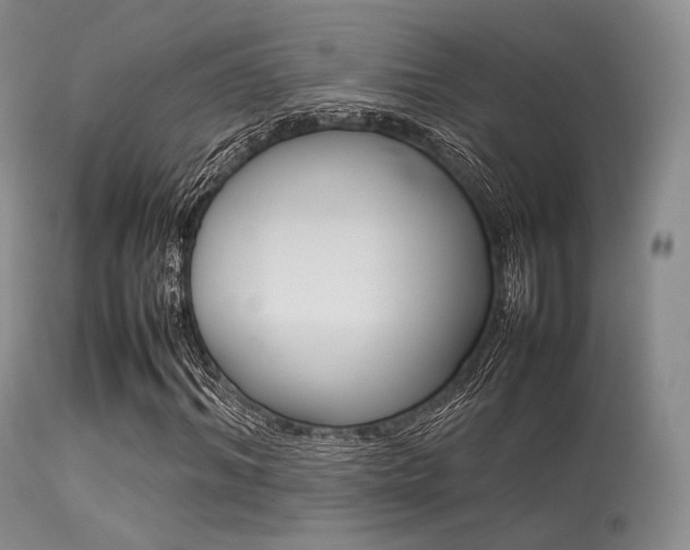 X0000113620964200909181112