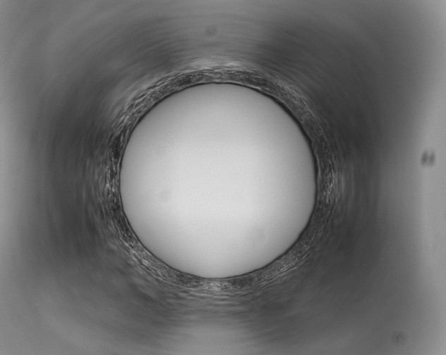 X0000113620966200909181112