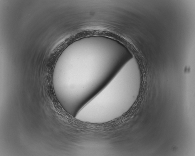 X0000113620967200909181112